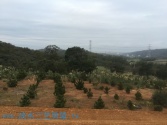 售新北市三芝區J165樂活景觀美地4旱地1,200萬