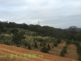 售新北市三芝區J166樂活景觀美地5旱地1,560萬